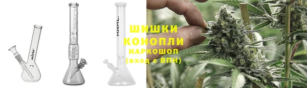 крисы Володарск